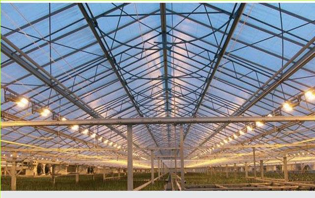 גידול צמחים בחממה מודרנית. התאורה מאריכה את שעות האור של הצמחים, ומאיצה את גידולם